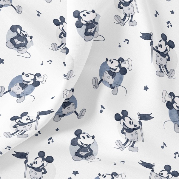 Mickey Navy